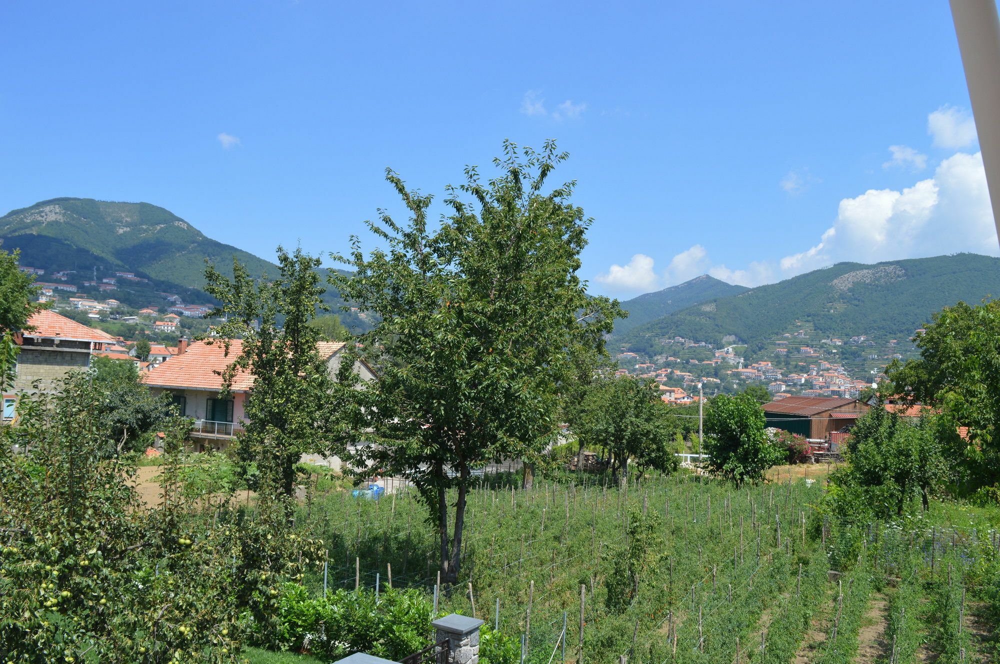 La Casa Dei Fiori - Ospitalita Diffusa 阿杰罗拉 外观 照片